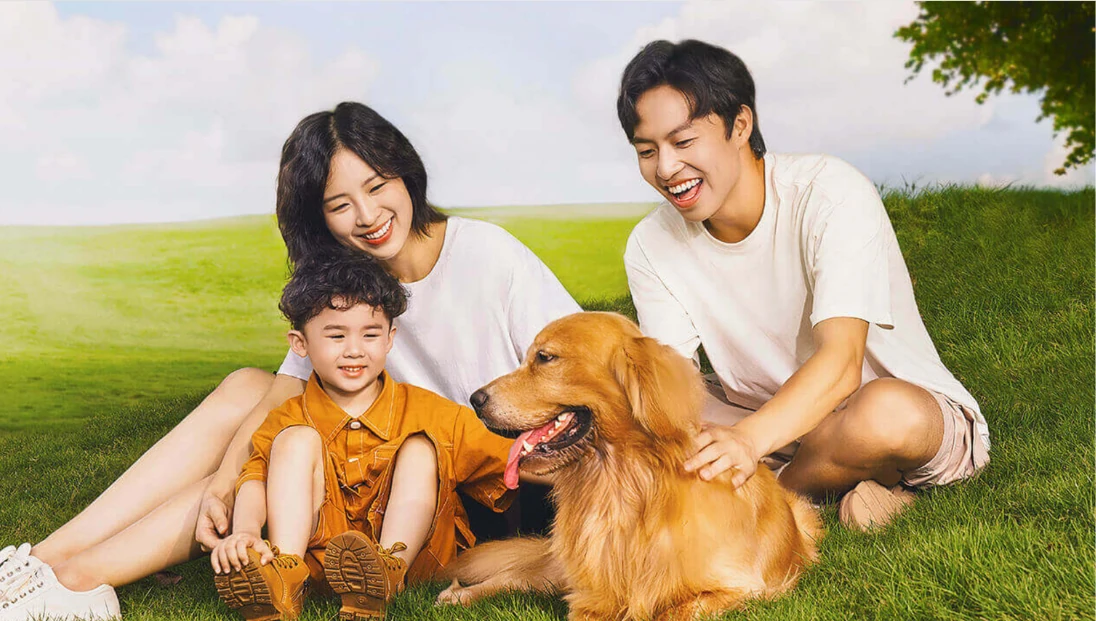 普安特 pet-health artwork